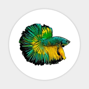 Betta splendens Magnet